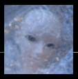 doll in wrapping